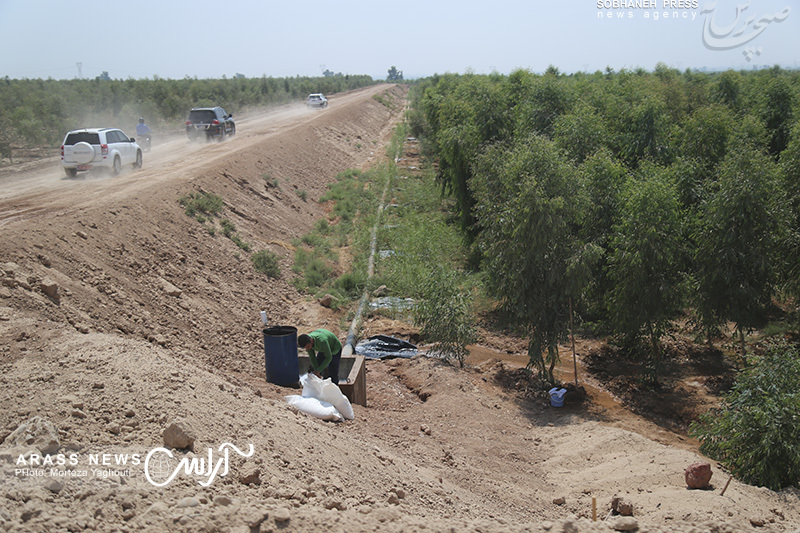 گزارش تصویری / شوش