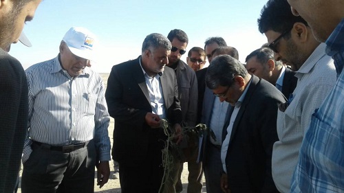 وزیر کشاورزی در اهواز: ظرف سه سال آینده کانون های بحرانی ریزگردها در شرق اهواز کنترل خواهد شد