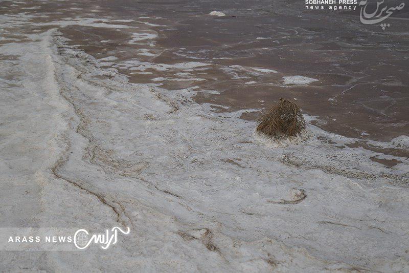 گزارش تصویری/ پسآب شور نیشکر، همه سهم تالاب شادگان / زهاب های نیشکر حیات تالاب شادگان را به شماره انداخته است