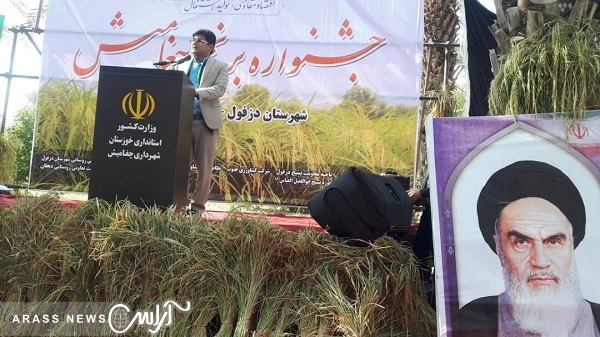 برای اولین بار در استان خوزستان؛برگزاری جشنواره برنج در چغامیش دزفول + تصاویر