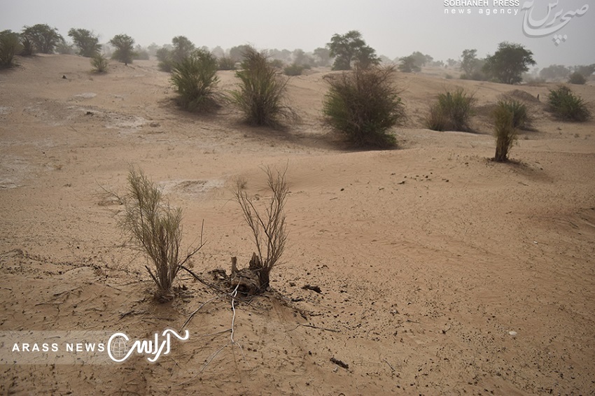 گزارش تصویری آراس از آغاز عملیات مالچ پاشی شنزارهای خوزستان