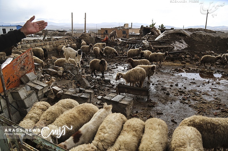 فاجعه تلخ زلزله کرمانشاه  روستای کوئیک حسن، سرپل ذهاب یک ماه پس از وقوع آن به روایت عکاس آراس +تصاویر
