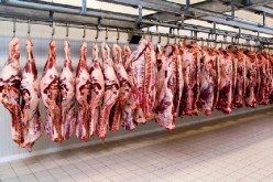 ۱۲۰ شرکت مجوز واردات گوشت گرفته‌اند/ما مرجع صدور مجوز نیستیم