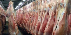 قیمت انواع گوشت، مرغ و ماهی در بازار تهران / روش جدید تنظیم بازار دولت جواب می‌دهد؟