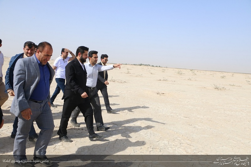 وضعیت امیدوار کننده رشد نهال ها در کانون های ریزگرد