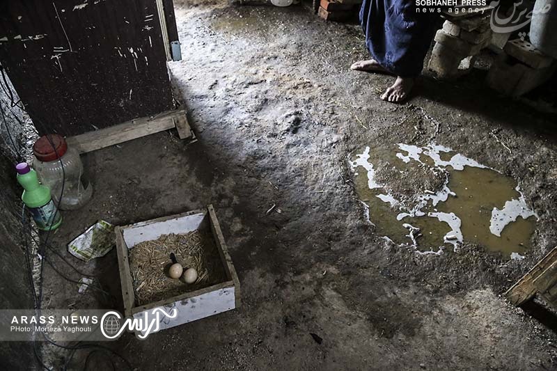 گزارش تصویری / حاشیه نشینی ، فقر و محروميت در دل کلانشهر اهواز / اسلام آباد منطقه ای فراموش شده در این شهر