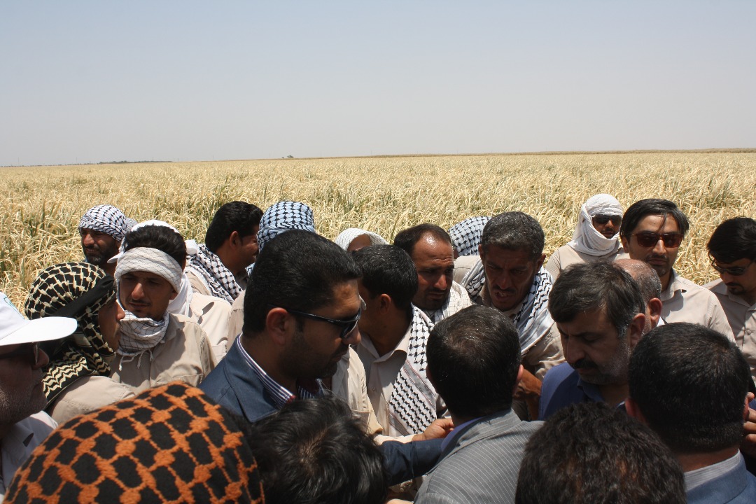 گزارش تصویری / بازدید استاندار خوزستان از مزارع بحران زده نیشکر کشت و صنعت دهخدا