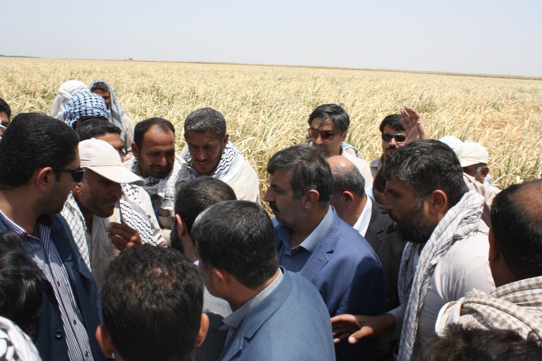 گزارش تصویری / بازدید استاندار خوزستان از مزارع بحران زده نیشکر کشت و صنعت دهخدا