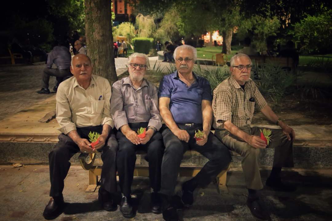 اهدای گلهای گلدانی به سالمندان توسط کارگروه میدانی سمن فانوس