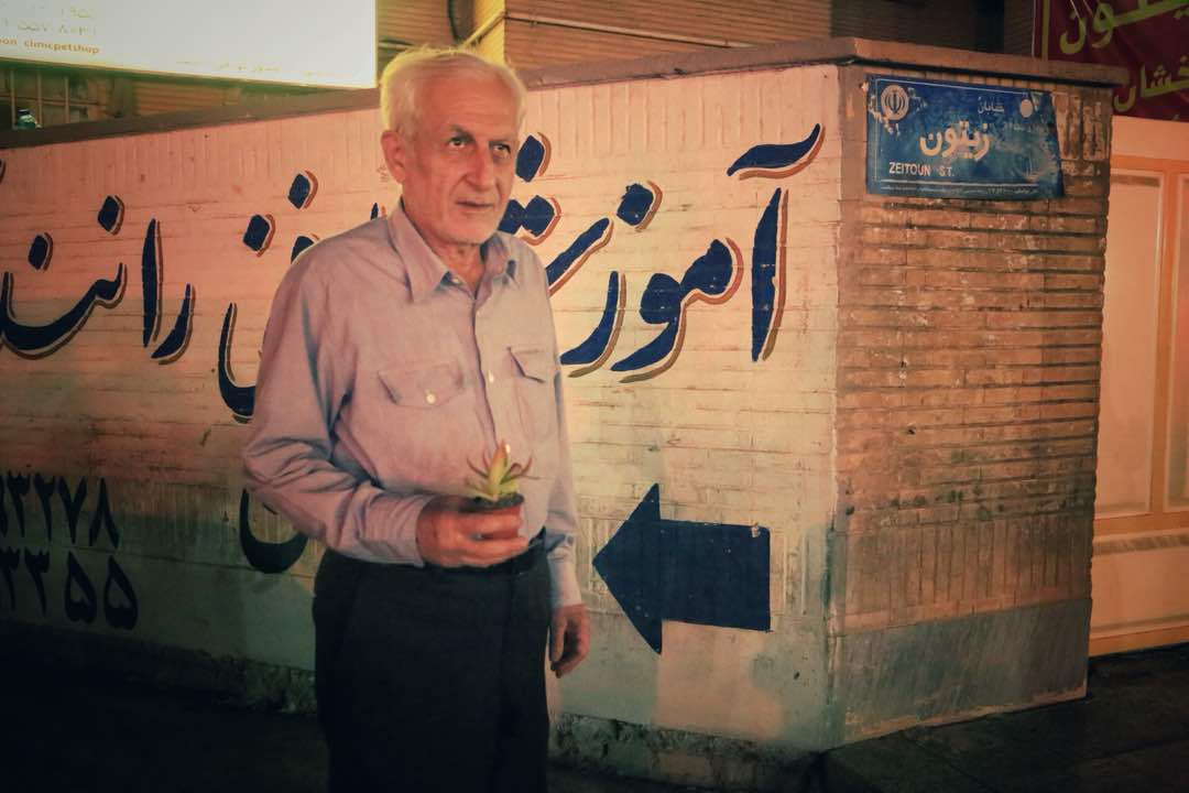 اهدای گلهای گلدانی به سالمندان توسط کارگروه میدانی سمن فانوس