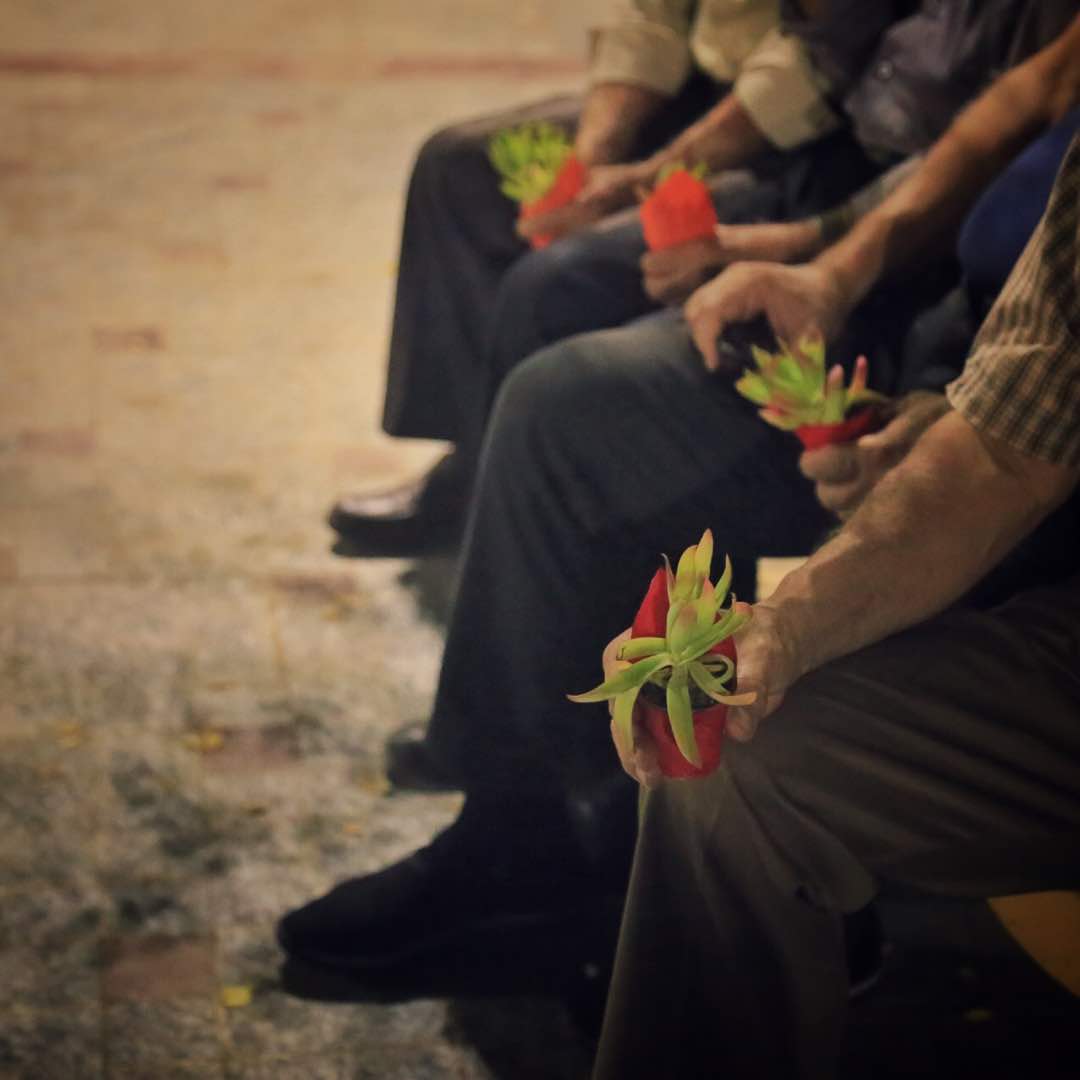اهدای گلهای گلدانی به سالمندان توسط کارگروه میدانی سمن فانوس