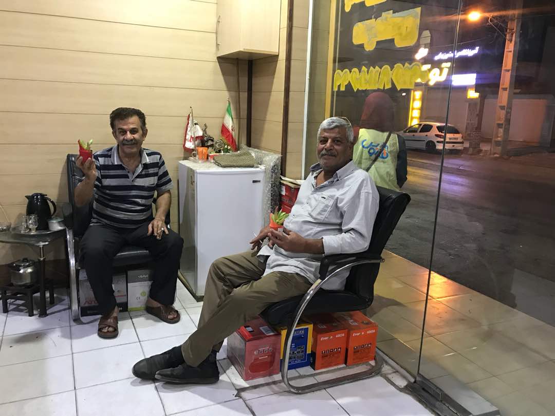 اهدای گلهای گلدانی به سالمندان توسط کارگروه میدانی سمن فانوس