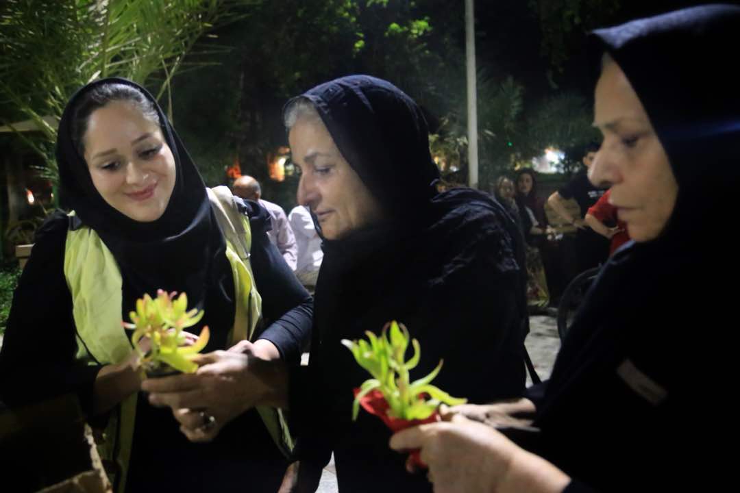 اهدای گلهای گلدانی به سالمندان توسط کارگروه میدانی سمن فانوس