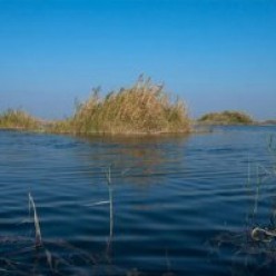 اجازه انتقال آب هورالعظیم به عراق داده نشود