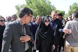 همه استان‌های کشور با مشکلات محیط زیستی مواجه‌اند