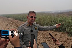 مدیرکل محیط زیست خوزستان: کم‌آبی عامل آتش‌سوزی ۲۲ هزار هکتاری در هورالعظیم عراق