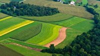 اخذ ۵ هزار فقره سند ‌تک‌ برگ برای اراضی دولتی خوزستان